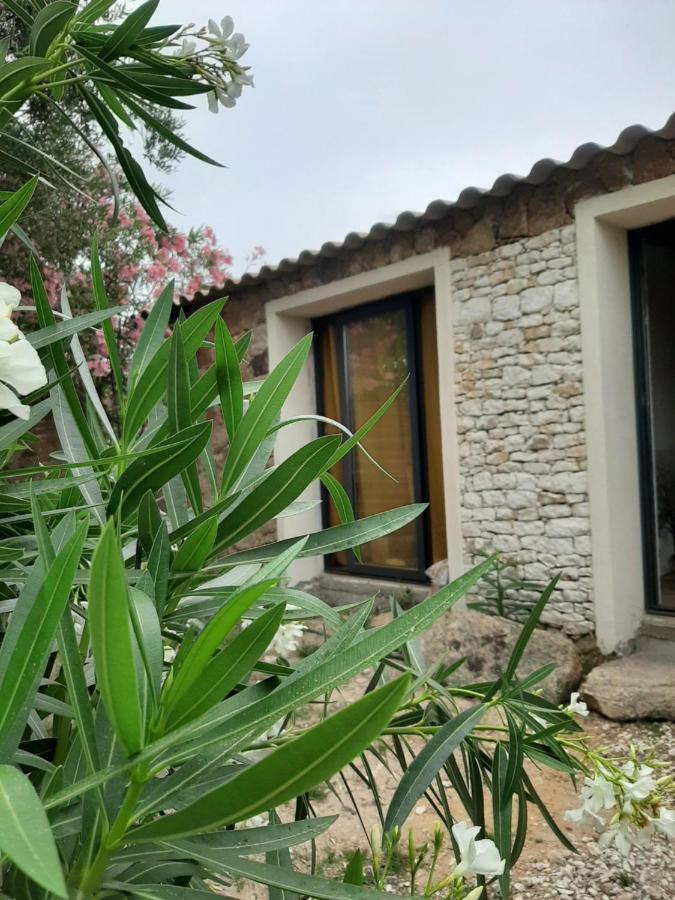 Mini Villa Giuseppina Bonifacio  Bagian luar foto