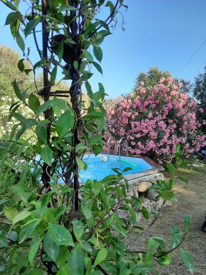 Mini Villa Giuseppina Bonifacio  Bagian luar foto