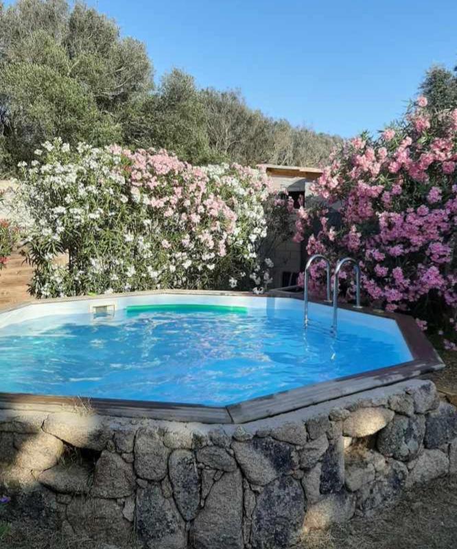 Mini Villa Giuseppina Bonifacio  Bagian luar foto