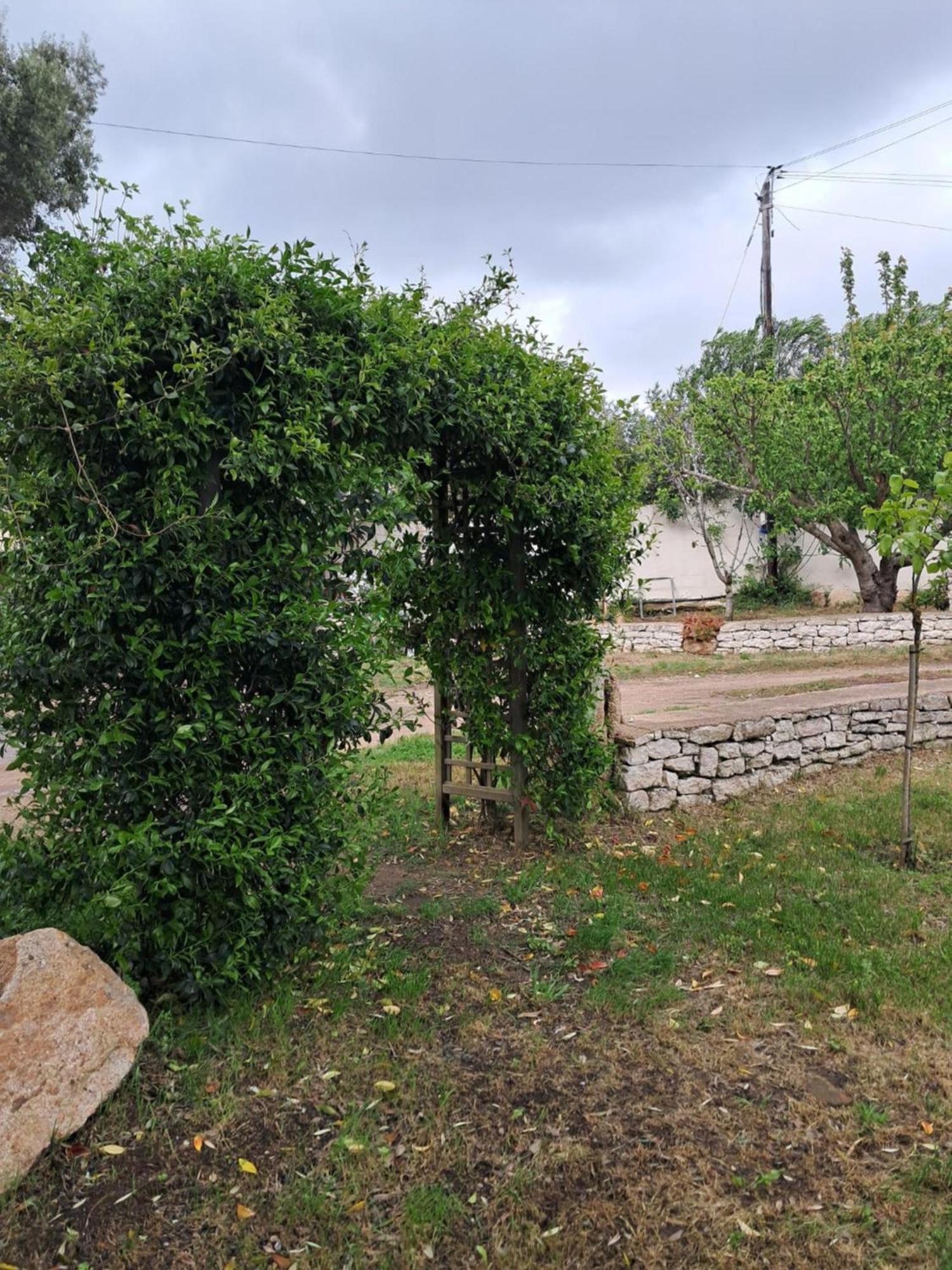 Mini Villa Giuseppina Bonifacio  Bagian luar foto